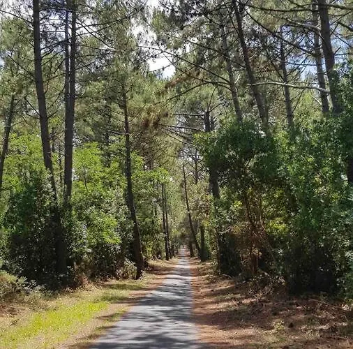 Кемпинг Mobil 3 Chb Confort, Espace Enfants - Claouey Cap Ferret Леж-Кап-Ферре